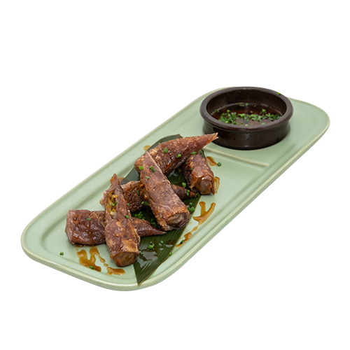 2024-05-31_veganashi-shooting-fondo-blanco_06